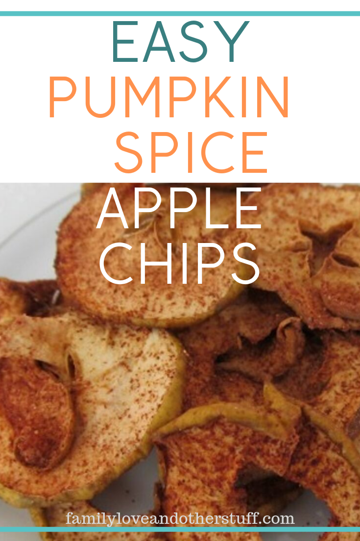 Easy Pumpkin pie Spice Apple Chips