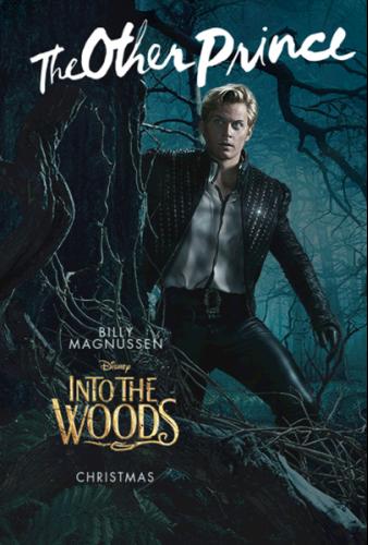 into the woods the other prince