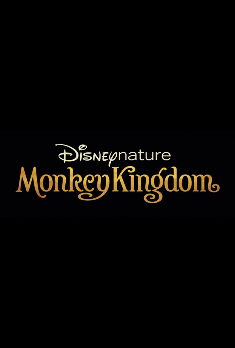 monkey kingdom logo