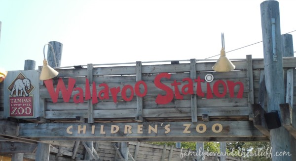 Tampa's Lowry Zoo Wallaroo Station Children's Zoo