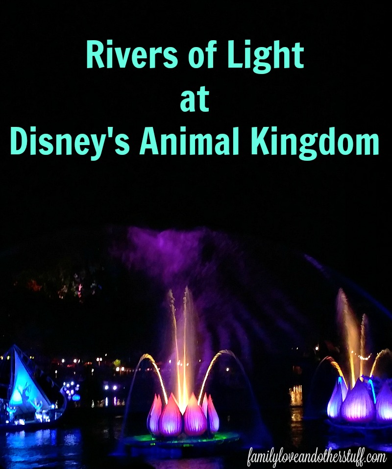 Animal Kingdom's Rivers of Light