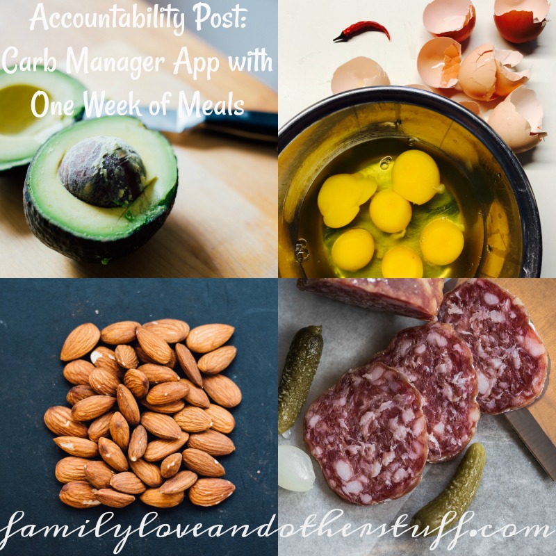 Accountability Post With Carb Manager Meal Tracking